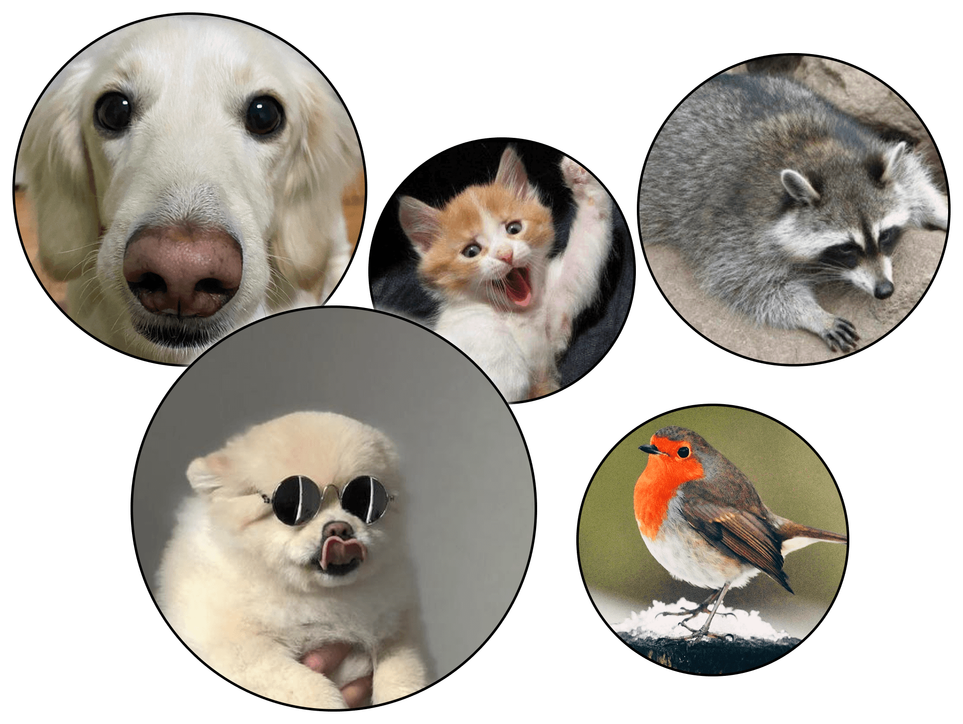 Supporting characters